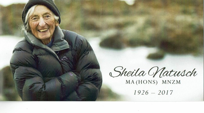 Who was the Sheila I knew